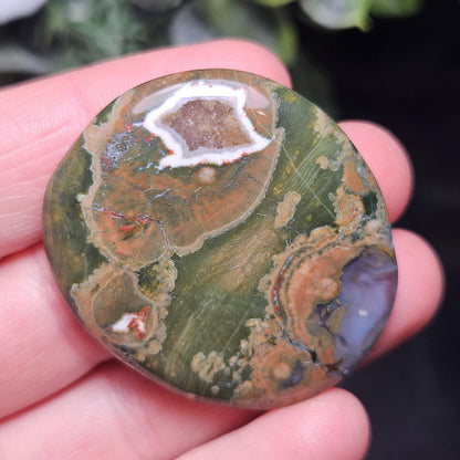 Rainforest Jasper Crystal, Polished Rainforest Jasper Specimen