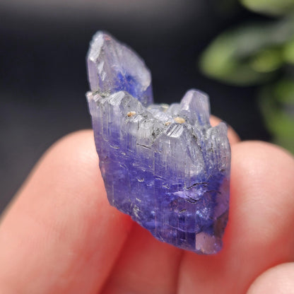Tanzanite Crystal Specimen 5.93g