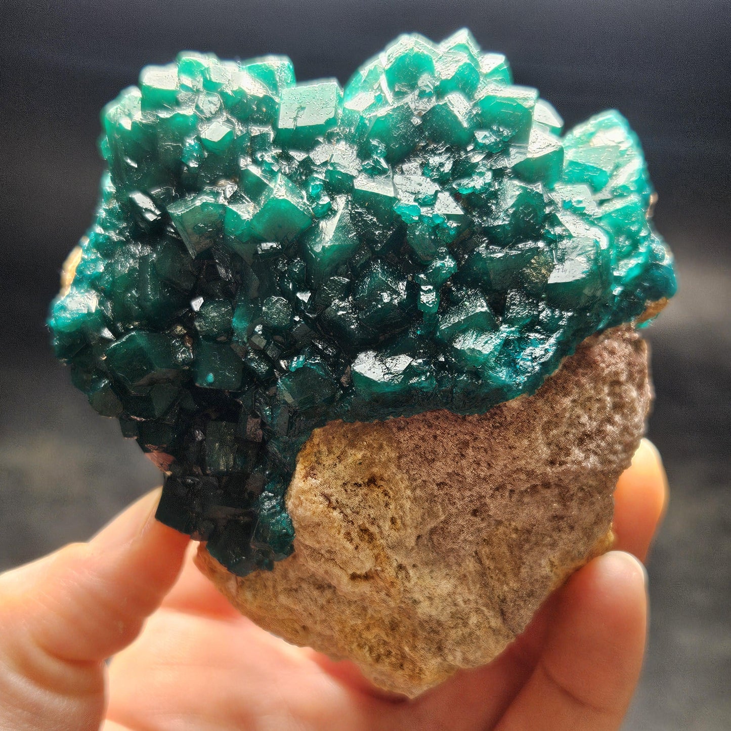 Dioptase Crystal Cluster from Congo 321g