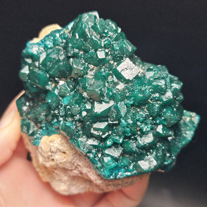 Dioptase Crystal Cluster from Congo 321g