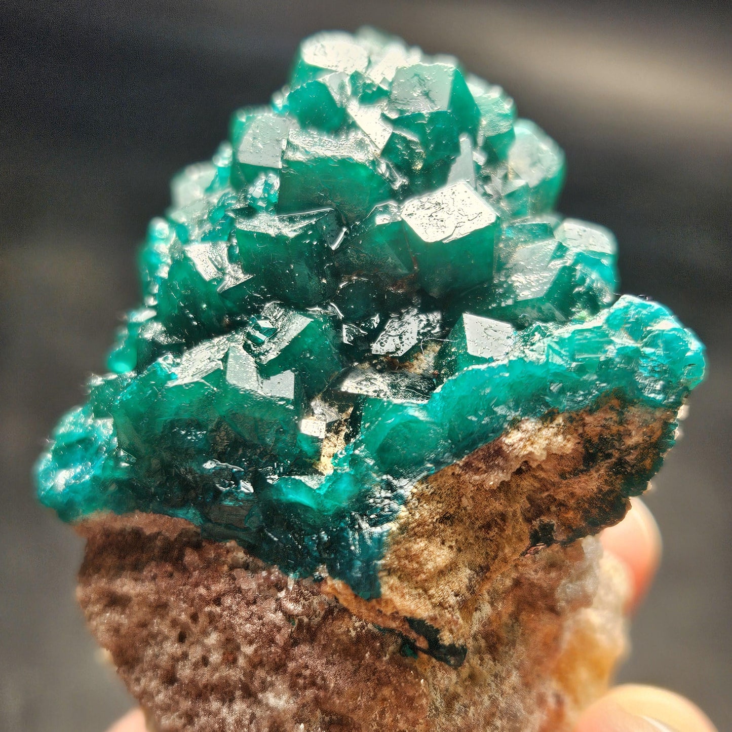 Dioptase Crystal Cluster from Congo 321g
