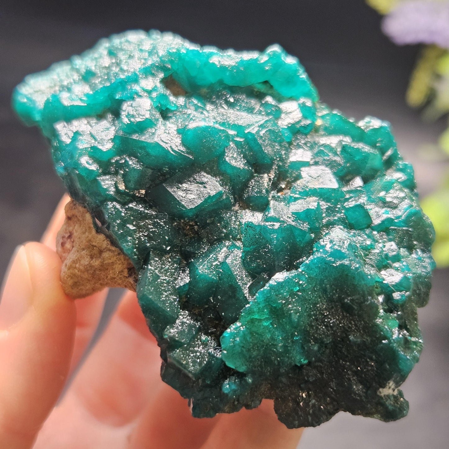 Dioptase Crystal Cluster from Congo 145.35g