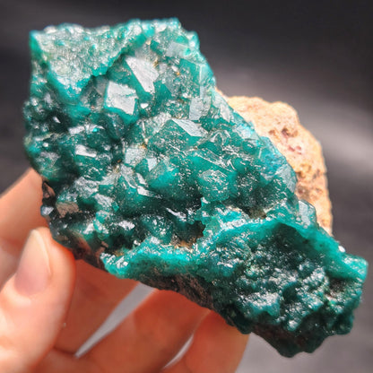 Dioptase Crystal Cluster from Congo 145.35g