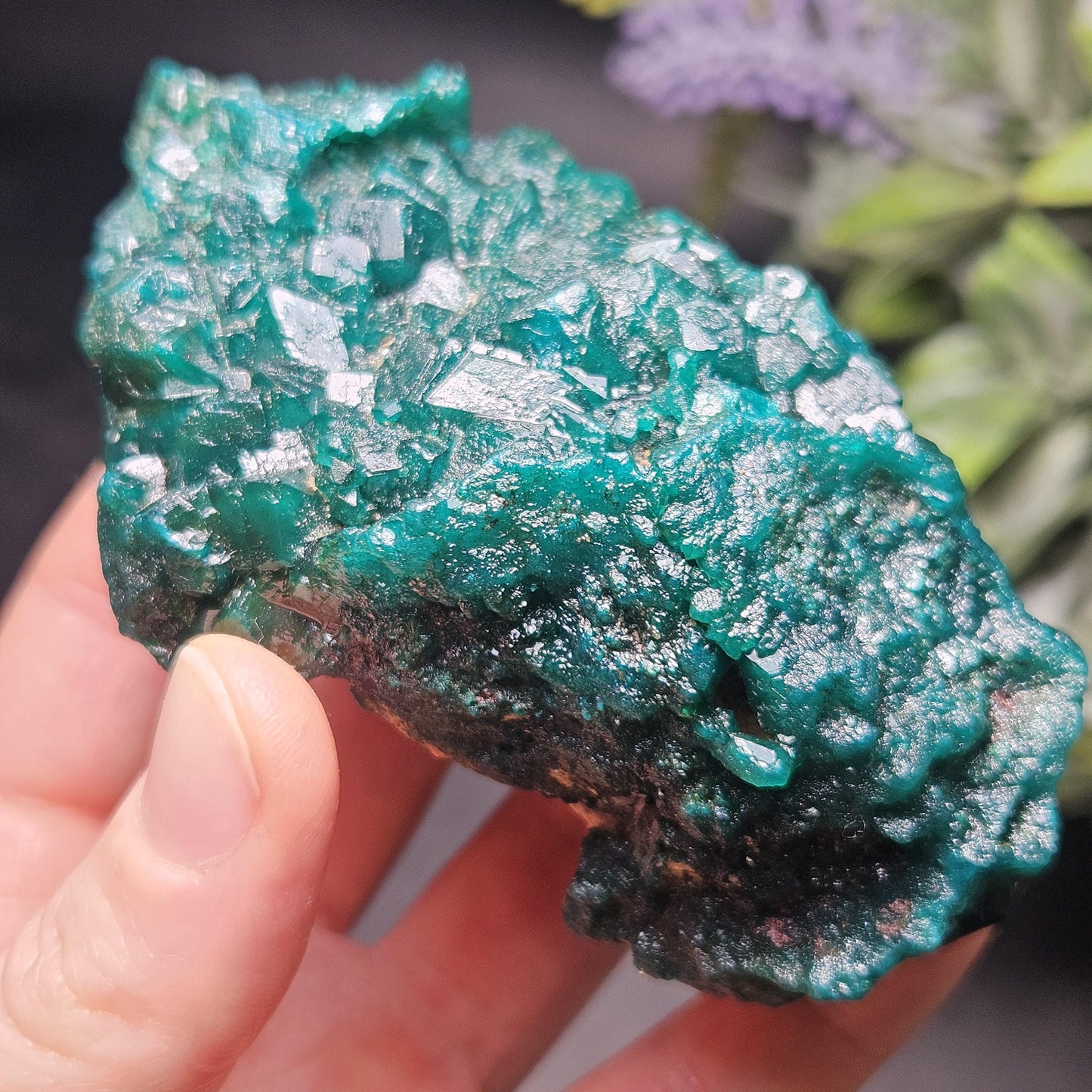 Dioptase Crystal Cluster from Congo 145.35g