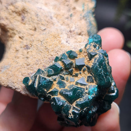 Dioptase Crystal Cluster from Congo 145.35g