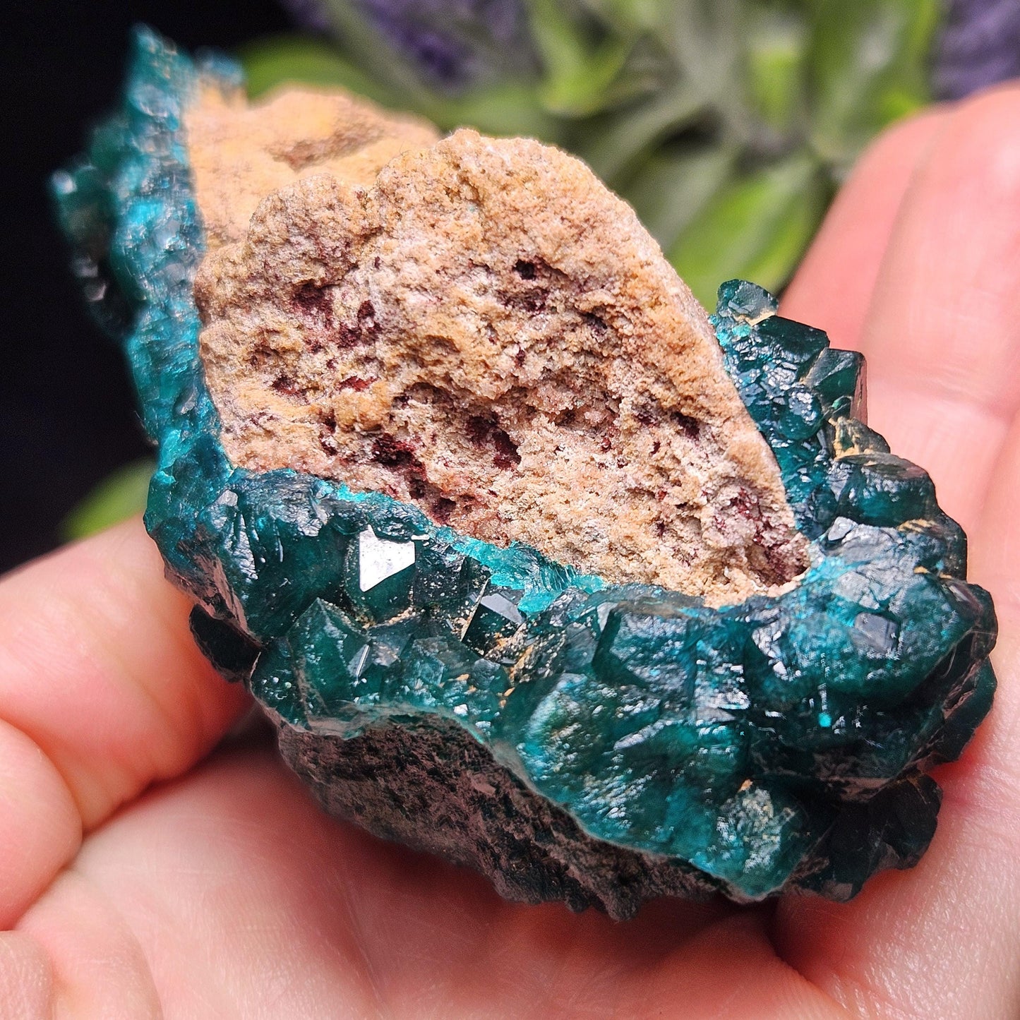 Dioptase Crystal Cluster from Congo 145.35g