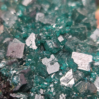 Dioptase Crystal Cluster from Congo 79.41g