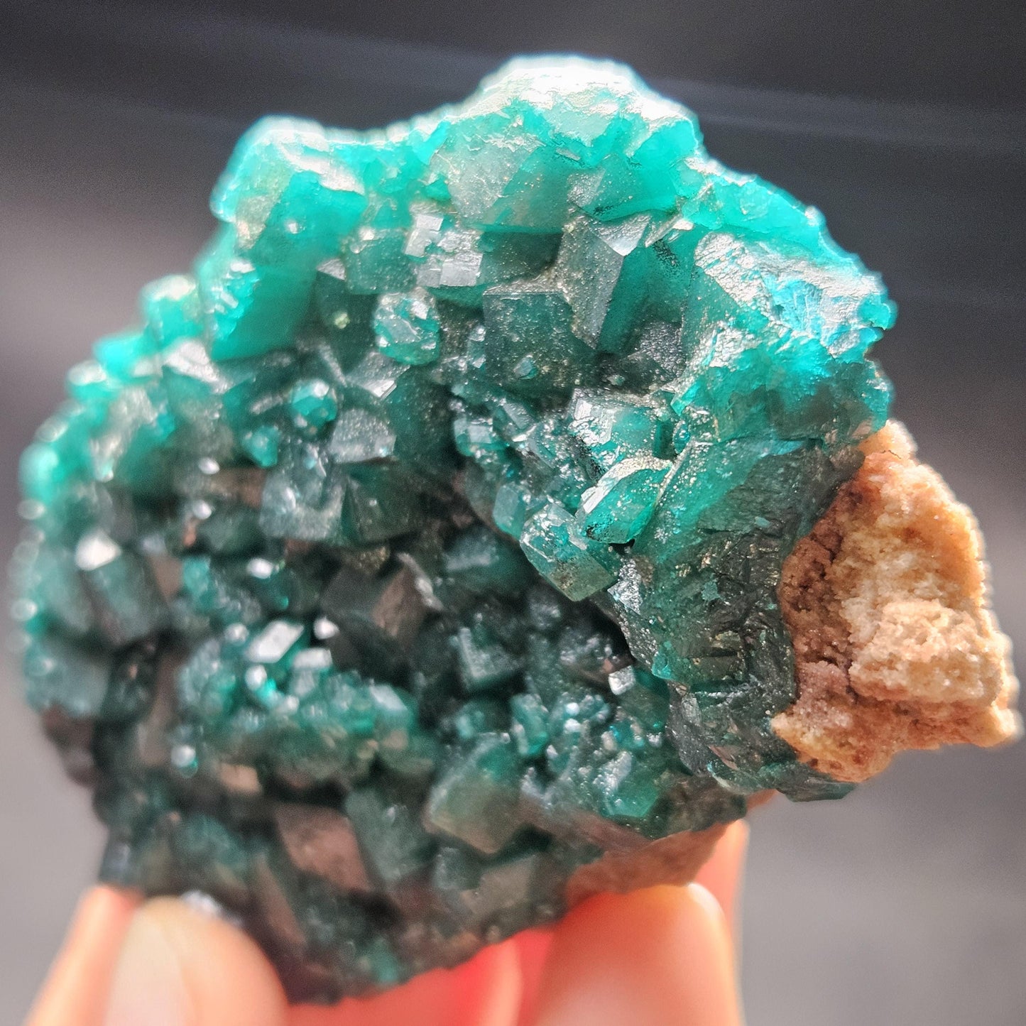 Dioptase Crystal Cluster from Congo 79.41g
