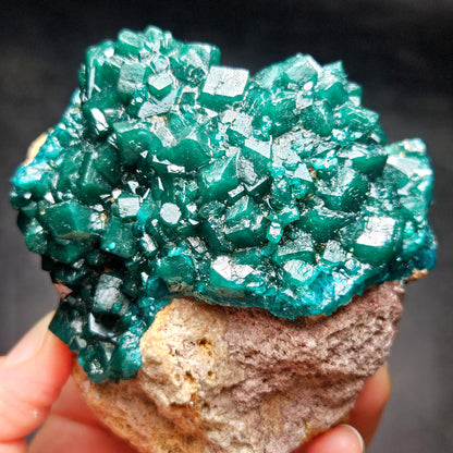 Dioptase Crystal Cluster from Congo 321g