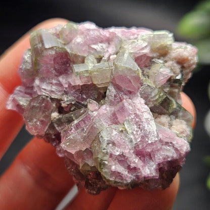Watermelon Tourmaline Crystal Cluster 41.96g