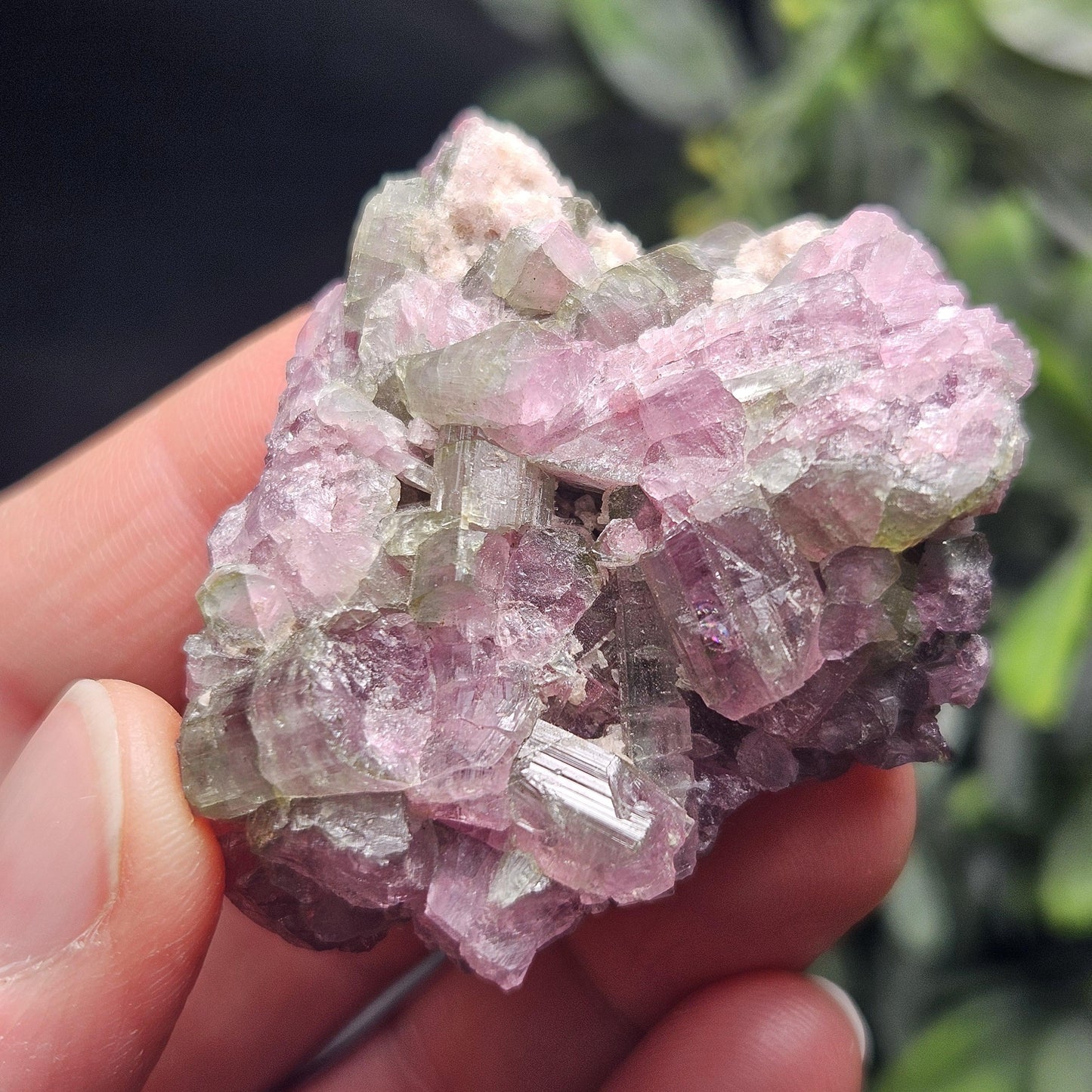 Watermelon Tourmaline Crystal Cluster 41.96g