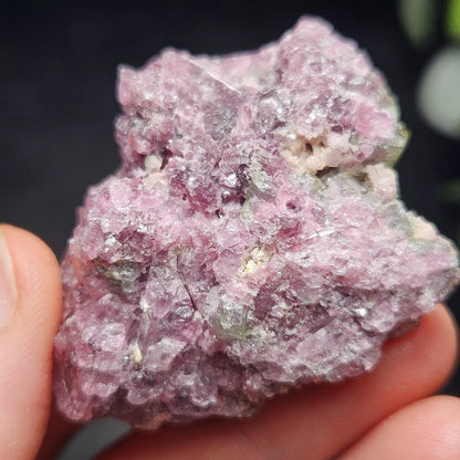 Watermelon Tourmaline Crystal Cluster 41.96g