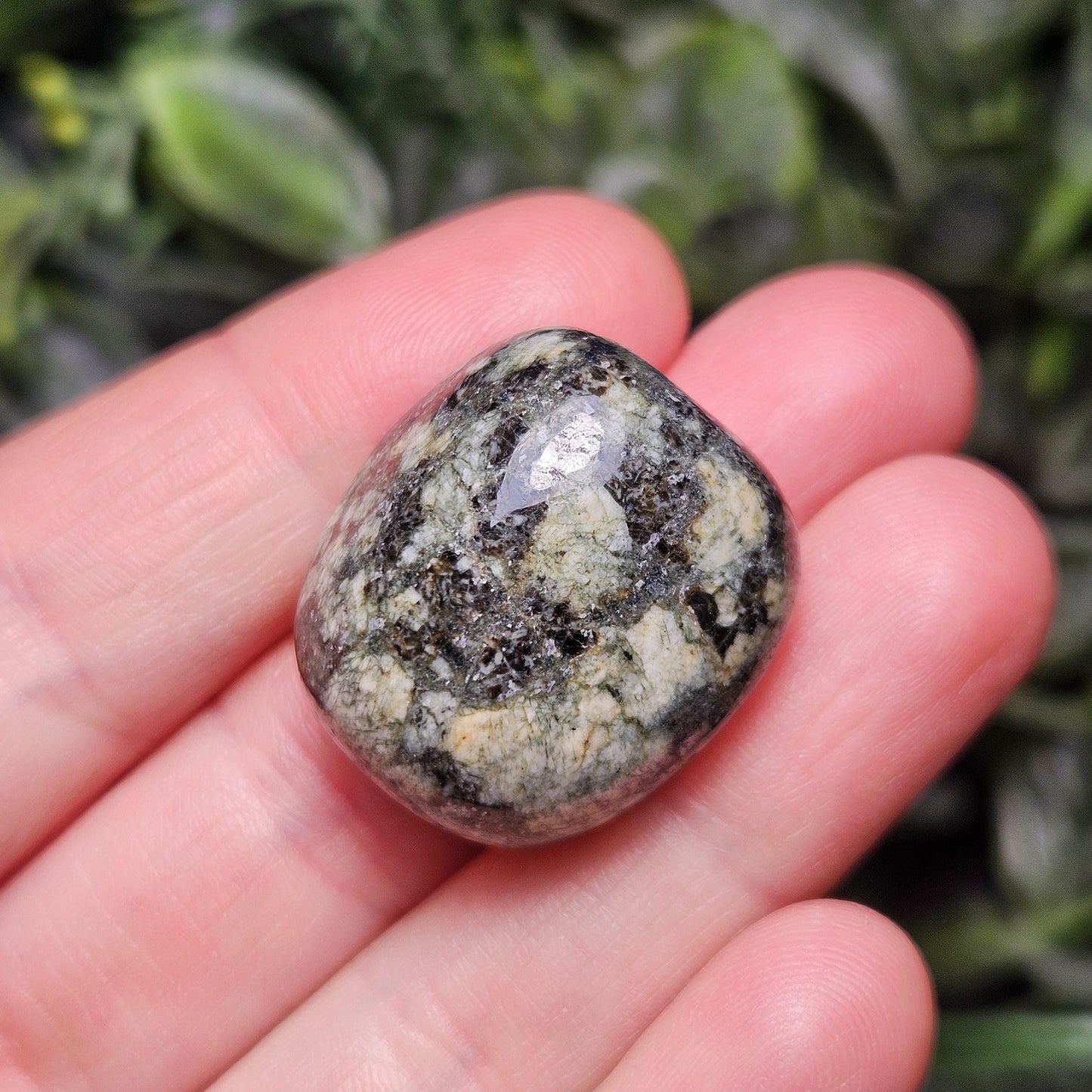Preseli Bluestone Polished Specimen (0.75"+), Stonehenge Bluestone, Preseli Blue Stone Tumbled Crystal