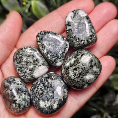 Preseli Bluestone Polished Specimen (0.75"+), Stonehenge Bluestone, Preseli Blue Stone Tumbled Crystal