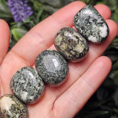 Preseli Bluestone Polished Specimen (0.75"+), Stonehenge Bluestone, Preseli Blue Stone Tumbled Crystal