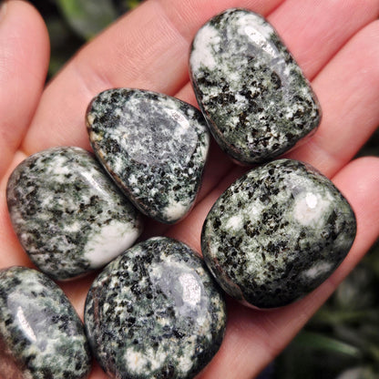Preseli Bluestone Polished Specimen (0.75"+), Stonehenge Bluestone, Preseli Blue Stone Tumbled Crystal
