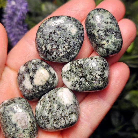 Preseli Bluestone Polished Specimen (0.75"+), Stonehenge Bluestone, Preseli Blue Stone Tumbled Crystal