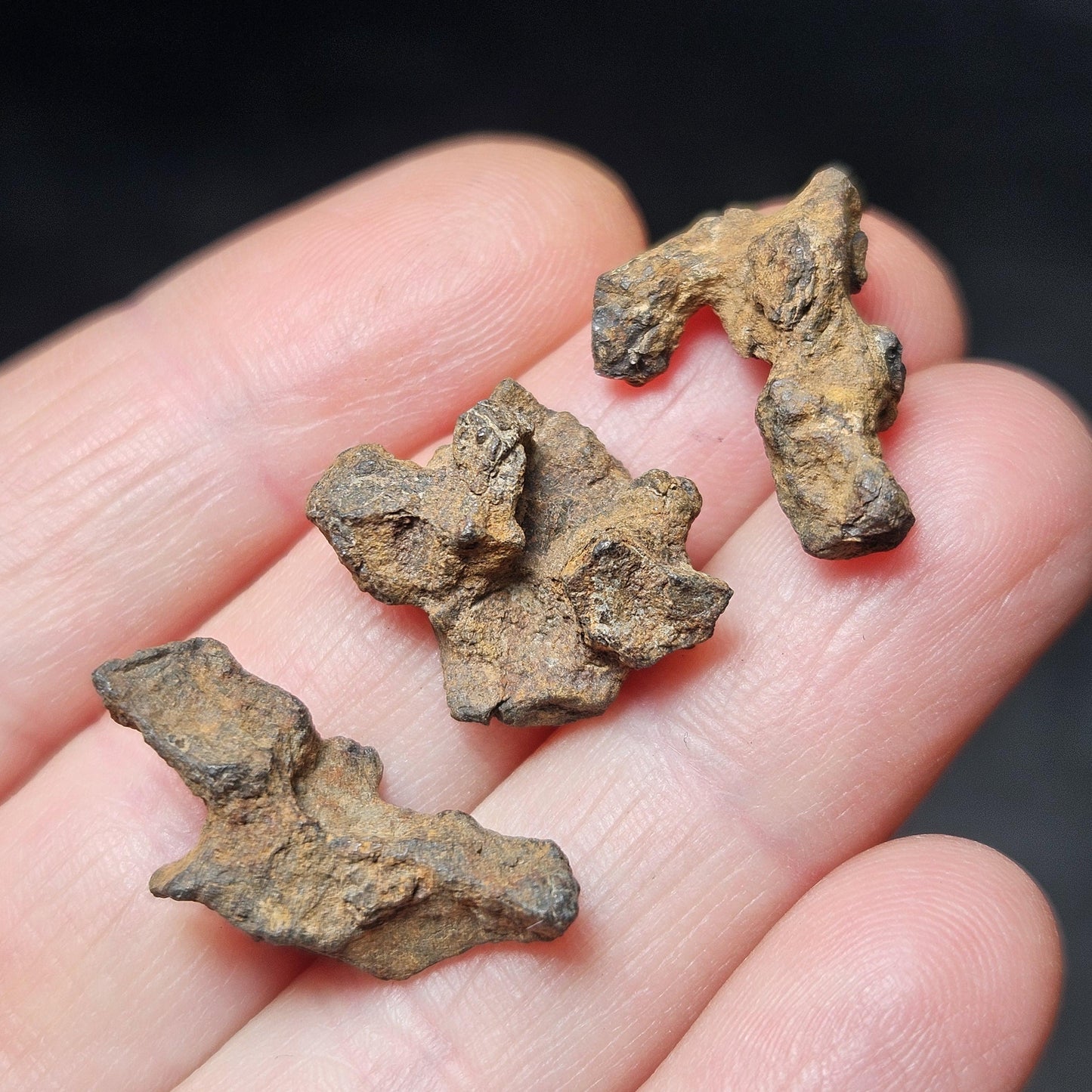 Meteorite Specimen, Natural Raw Kenyan Sericho Pallasite Meteorite