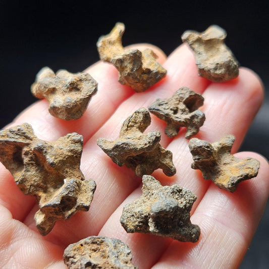 Meteorite Specimen, Natural Raw Kenyan Sericho Pallasite Meteorite