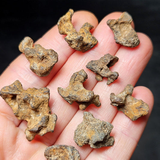 Meteorite Specimen, Natural Raw Kenyan Sericho Pallasite Meteorite