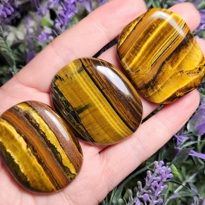 Tiger Iron Palm Stone Crystal (1.25"+), Tigers Eye Polished Specimen