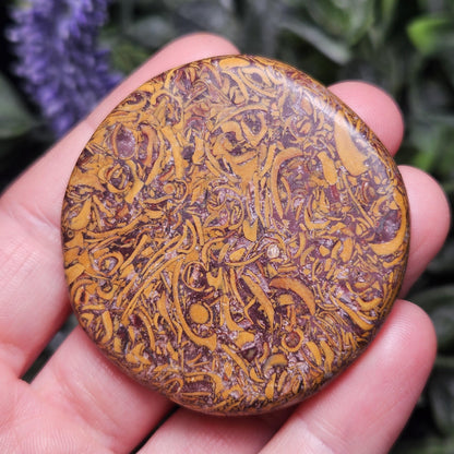 Calligraphy Stone Specimen (1.75"+), Miriam Jasper Palm Stone