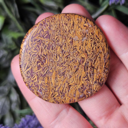 Calligraphy Stone Specimen (1.75"+), Miriam Jasper Palm Stone