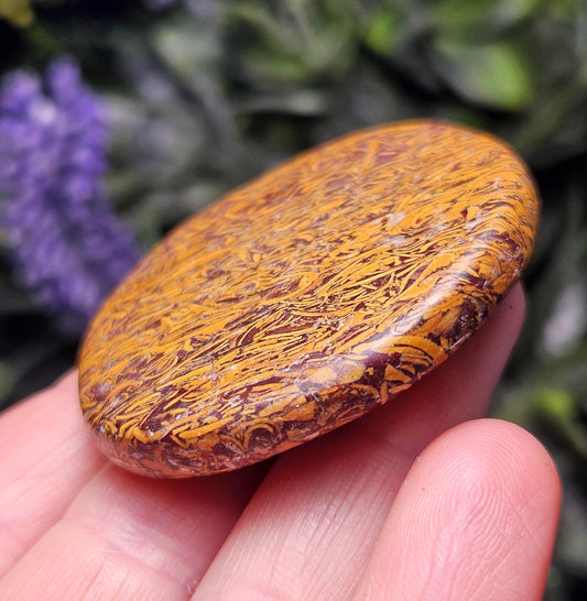 Calligraphy Stone Specimen (1.75"+), Miriam Jasper Palm Stone