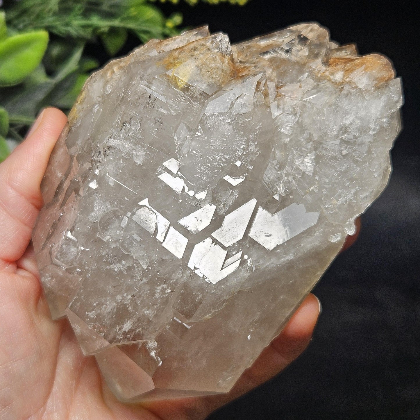 HUGE Elestial Garden Quartz Crystal 1.5lbs