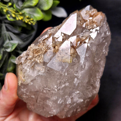 HUGE Elestial Garden Quartz Crystal 1.5lbs