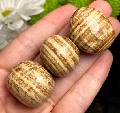 Brown Aragonite Tumbled Crystal from Peru (1"), Polished Aragonite Stone Specimen