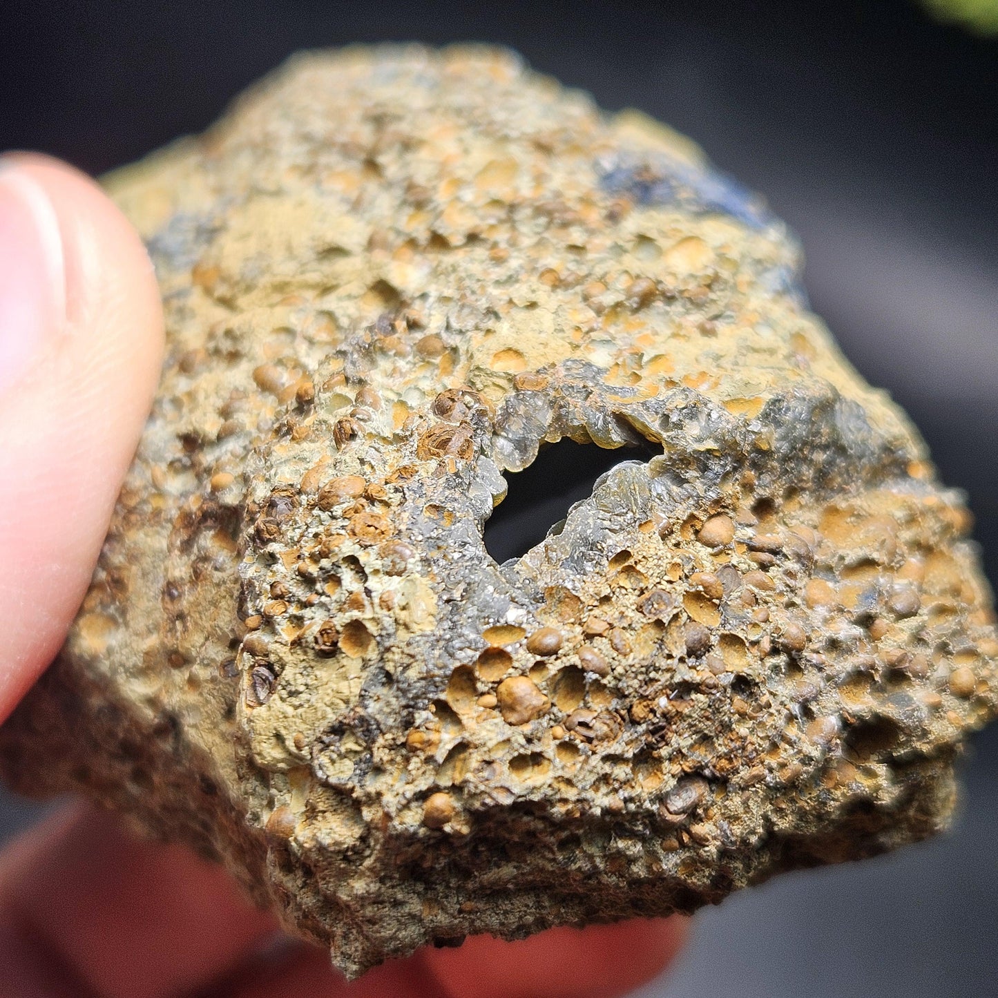 Vivianite Crystal Cluster with Botryoidal Chalcedony 107.66g, Raw Blue