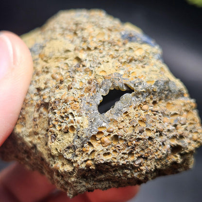 Vivianite Crystal Cluster with Botryoidal Chalcedony 107.66g, Raw Blue