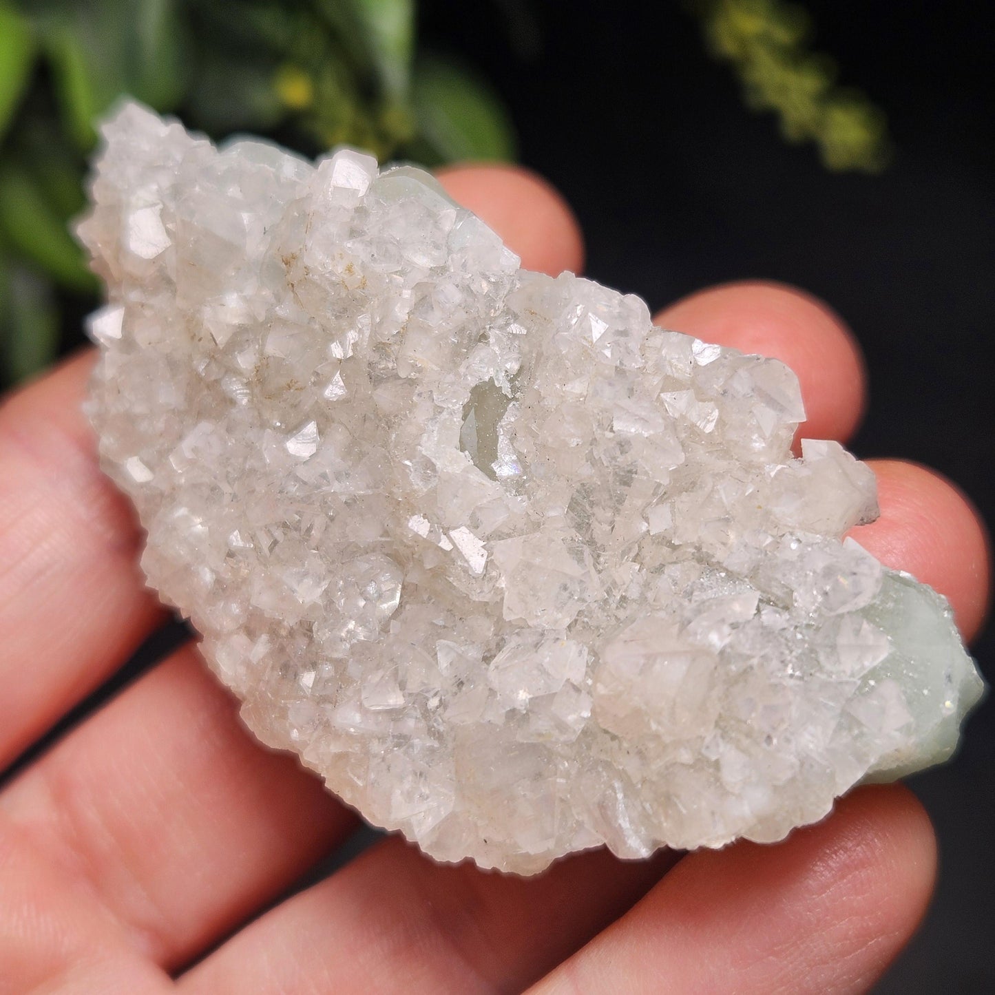 Datolite Crystal with Apophyllite Druze 60.8g