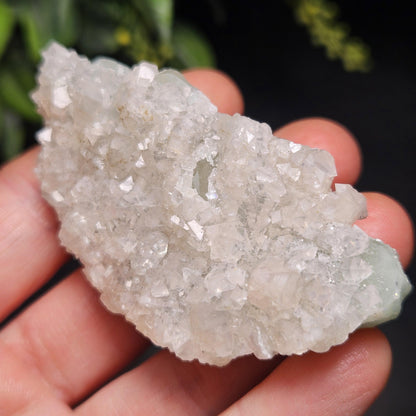 Datolite Crystal with Apophyllite Druze 60.8g