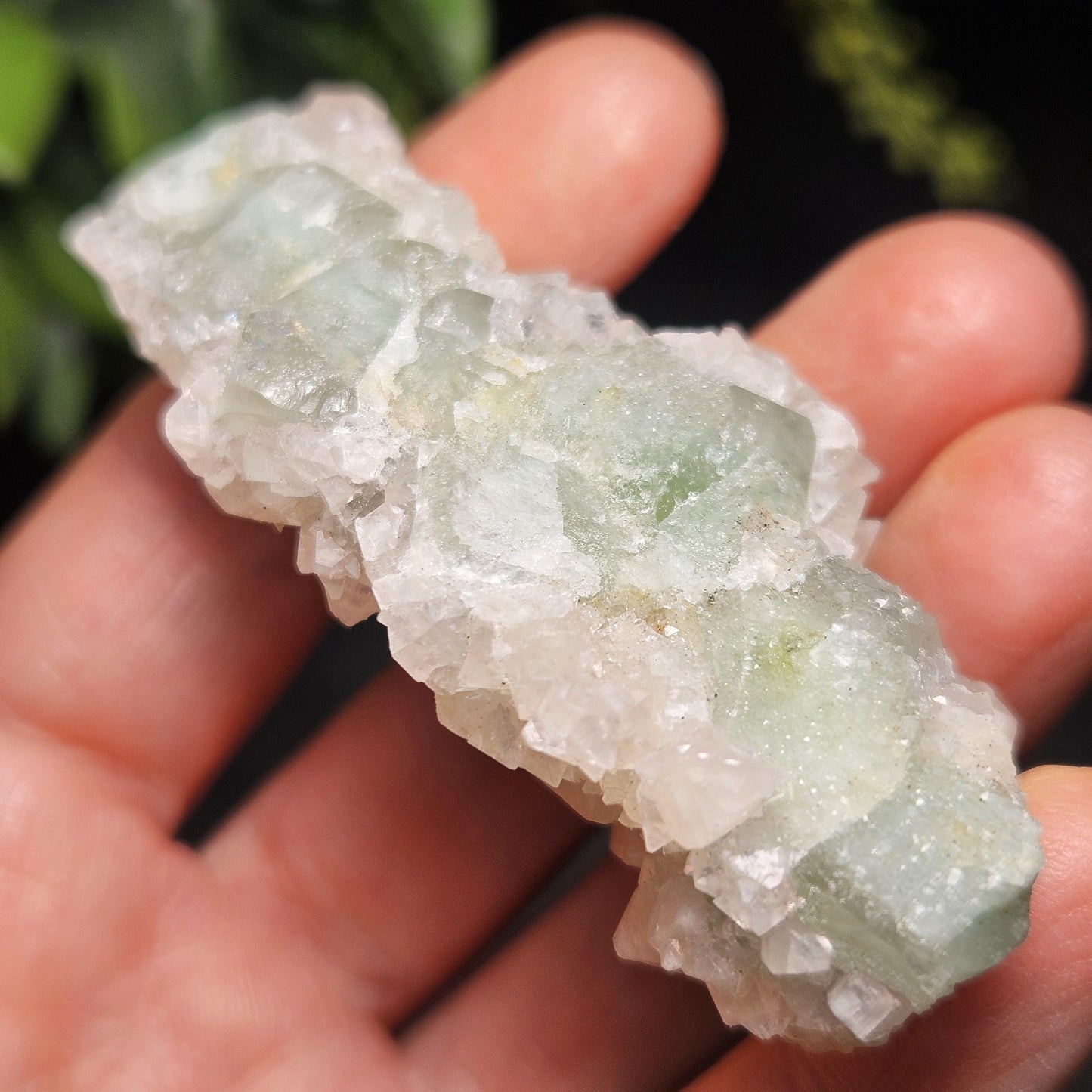 Datolite Crystal with Apophyllite Druze 60.8g