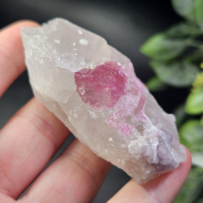 Pink Tourmaline in Quartz from Brazil 52.64g, Raw Brazilian Tourmaline Specimen, Pink Tourmaline Crystal