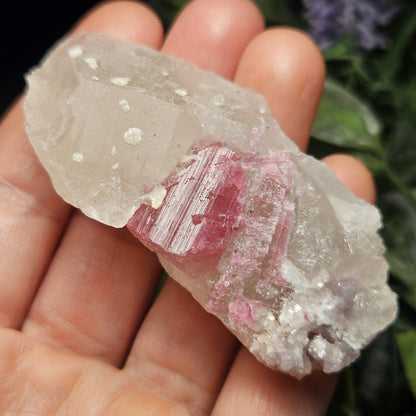Pink Tourmaline in Quartz from Brazil 52.64g, Raw Brazilian Tourmaline Specimen, Pink Tourmaline Crystal