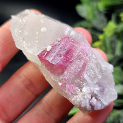 Pink Tourmaline in Quartz from Brazil 52.64g, Raw Brazilian Tourmaline Specimen, Pink Tourmaline Crystal