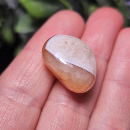Snakeskin Fire Agate Crystal, Snakeskin Agate Tumbled Stone, Polished Dragonskin Agate