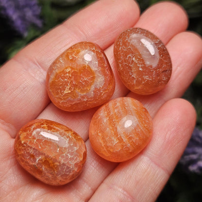 Snakeskin Fire Agate Crystal, Snakeskin Agate Tumbled Stone, Polished Dragonskin Agate