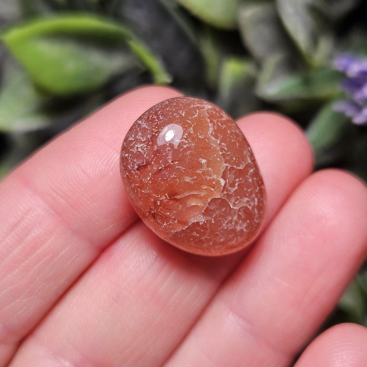 Snakeskin Fire Agate Crystal, Snakeskin Agate Tumbled Stone, Polished Dragonskin Agate