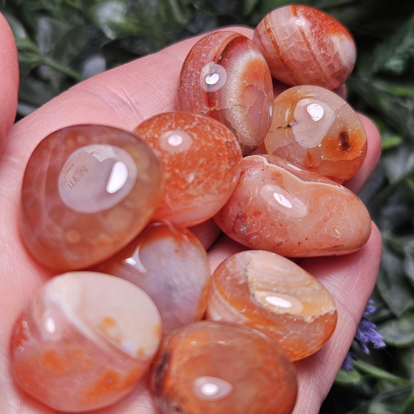 Snakeskin Fire Agate Crystal, Snakeskin Agate Tumbled Stone, Polished Dragonskin Agate