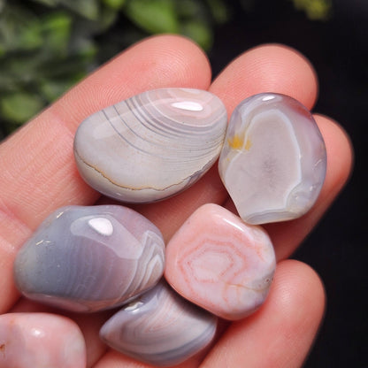 Botswana Agate Crystal, Pink & Grey Chalcedony ~ Choose Your Size
