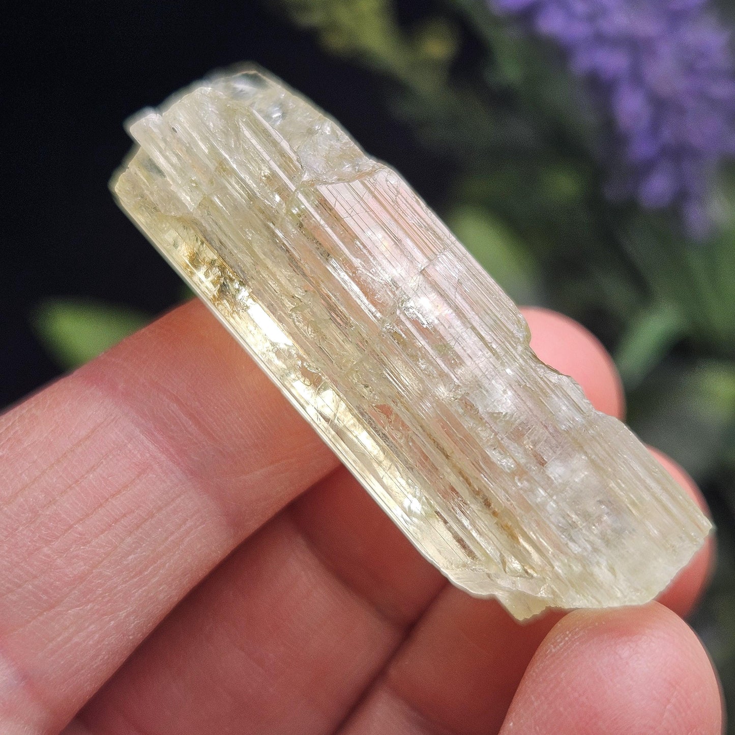 Terminated Heliodor Crystal 12.11g, Rainbow Inclusion, AAA Golden Beryl