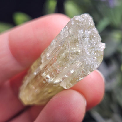 Terminated Heliodor Crystal 12.11g, Rainbow Inclusion, AAA Golden Beryl