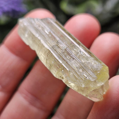 Terminated Heliodor Crystal 12.11g, Rainbow Inclusion, AAA Golden Beryl