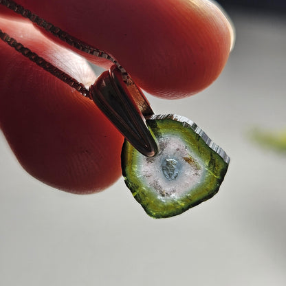 Watermelon Tourmaline Slice Pendant