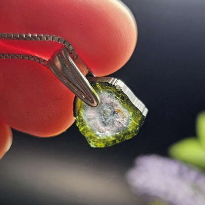 Watermelon Tourmaline Slice Pendant