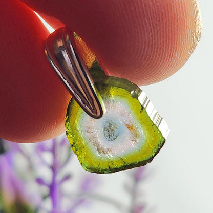 Watermelon Tourmaline Slice Pendant